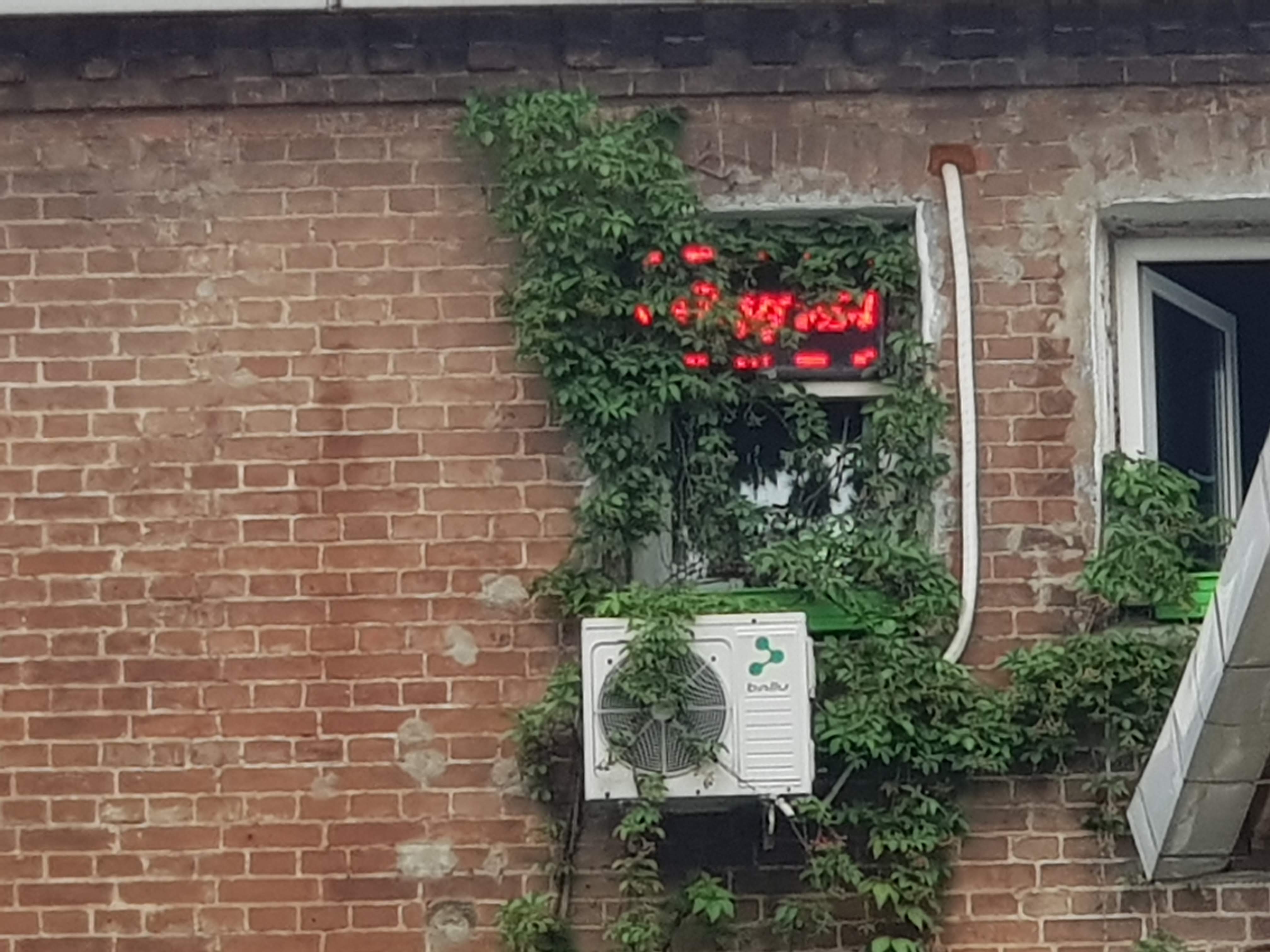 20190827_094105.jpg